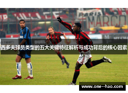 西多夫球员类型的五大关键特征解析与成功背后的核心因素