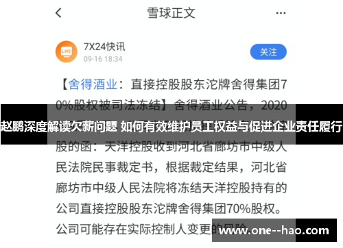赵鹏深度解读欠薪问题 如何有效维护员工权益与促进企业责任履行