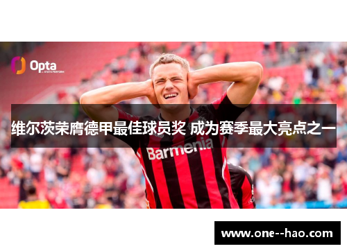 维尔茨荣膺德甲最佳球员奖 成为赛季最大亮点之一